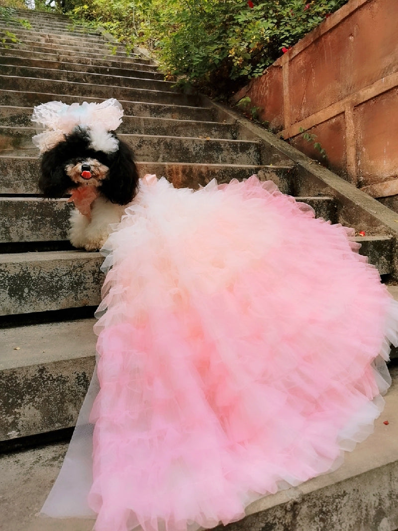 Pink Candy Bloom Gown For Dog
